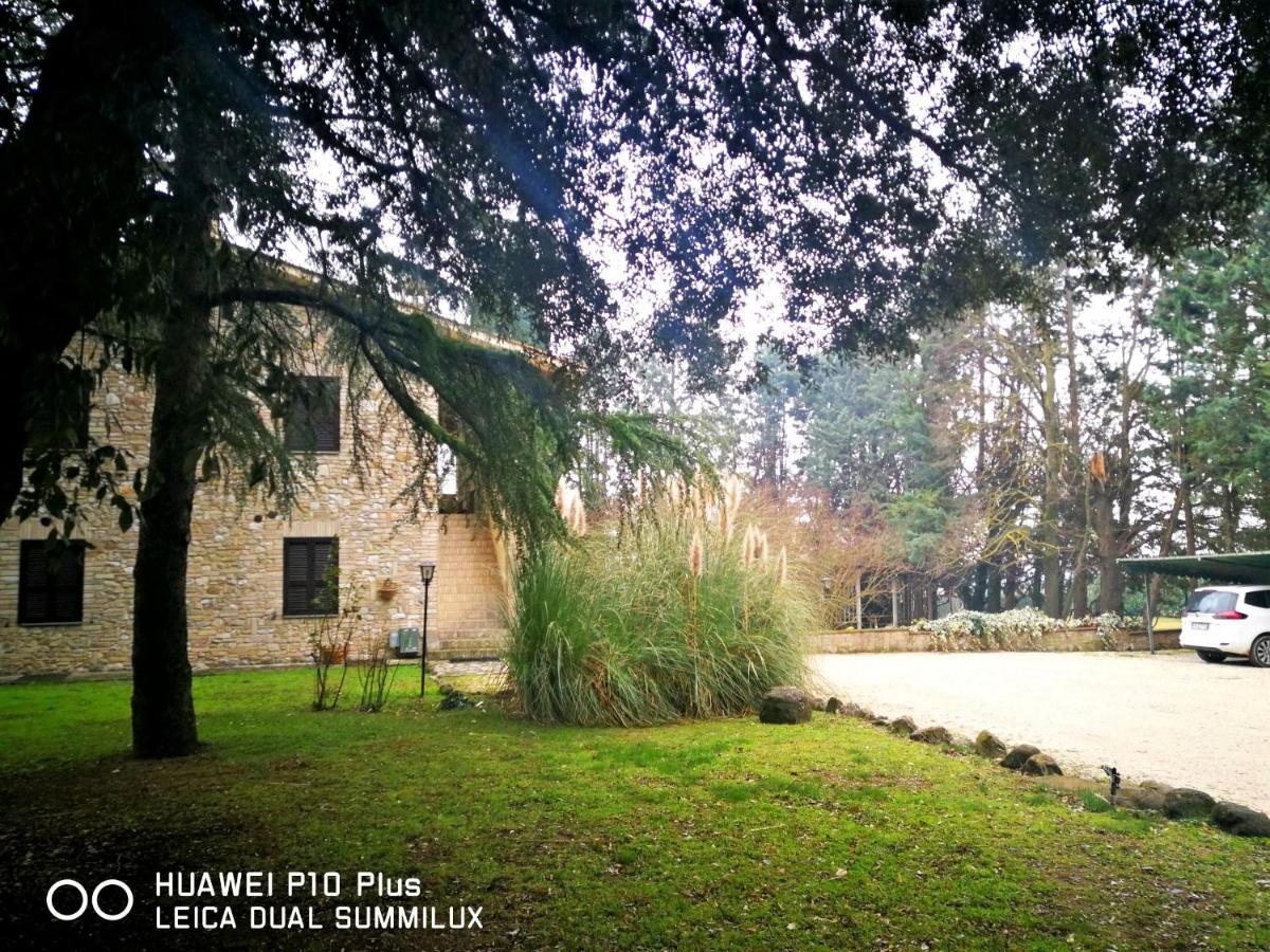 Villa Con Piscina אסיסי מראה חיצוני תמונה