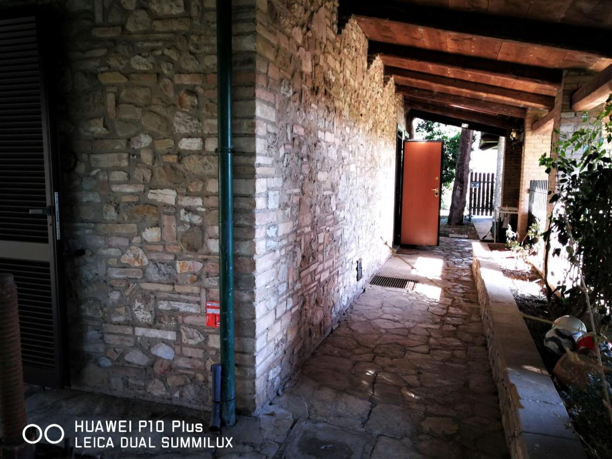 Villa Con Piscina אסיסי מראה חיצוני תמונה